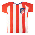 Shirt Cushion